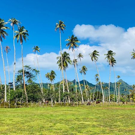 Huahine Serenity Cottage Maroe Buitenkant foto